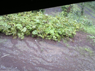 長野県菅平高原 ゆたか山荘 駐車場 2025/08/01 14:00