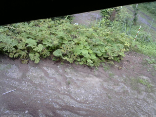 長野県菅平高原 ゆたか山荘 駐車場 2025/08/01 17:30