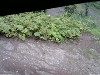 長野県菅平高原 ゆたか山荘 駐車場 2025/08/01 17:45