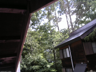 長野県菅平高原 ゆたか山荘 北側 2025/08/02 08:45