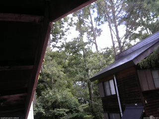 長野県菅平高原 ゆたか山荘 北側 2025/08/02 09:00