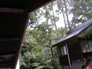 長野県菅平高原 ゆたか山荘 北側 2025/08/02 09:30