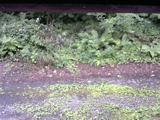 長野県菅平高原 ゆたか山荘 南側 2025/08/02 07:30