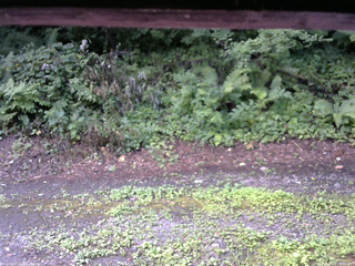 長野県菅平高原 ゆたか山荘 南側 2025/08/02 08:00