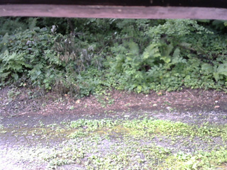 長野県菅平高原 ゆたか山荘 南側 2025/08/02 09:00