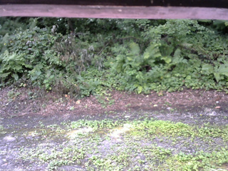 長野県菅平高原 ゆたか山荘 南側 2025/08/02 09:30