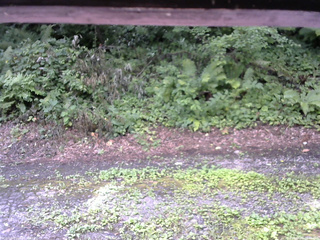 長野県菅平高原 ゆたか山荘 南側 2025/08/02 09:45