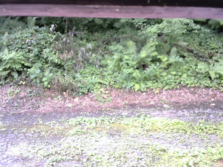 長野県菅平高原 ゆたか山荘 南側 2025/08/02 10:00