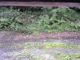 長野県菅平高原 ゆたか山荘 南側 2025/08/02 10:15