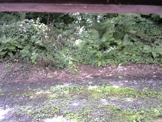 長野県菅平高原 ゆたか山荘 南側 2025/08/02 10:30