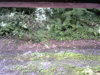 長野県菅平高原 ゆたか山荘 南側 2025/08/02 10:45