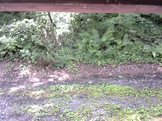 長野県菅平高原 ゆたか山荘 南側 2025/08/02 11:00