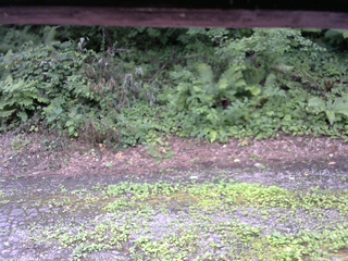 長野県菅平高原 ゆたか山荘 南側 2025/08/02 11:15