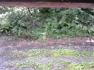 長野県菅平高原 ゆたか山荘 南側 2025/08/02 11:30