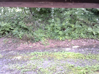 長野県菅平高原 ゆたか山荘 南側 2025/08/02 11:45