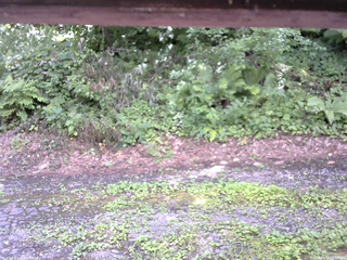 長野県菅平高原 ゆたか山荘 南側 2025/08/02 12:00