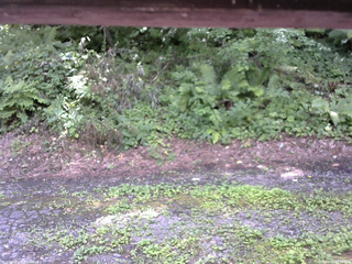 長野県菅平高原 ゆたか山荘 南側 2025/08/02 12:30