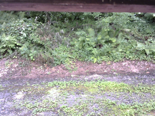 長野県菅平高原 ゆたか山荘 南側 2025/08/02 12:45