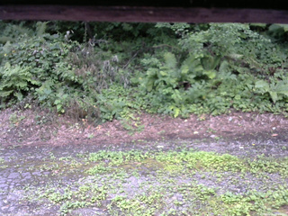 長野県菅平高原 ゆたか山荘 南側 2025/08/02 13:00