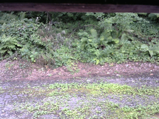 長野県菅平高原 ゆたか山荘 南側 2025/08/02 13:15