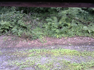 長野県菅平高原 ゆたか山荘 南側 2025/08/02 13:30