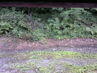 長野県菅平高原 ゆたか山荘 南側 2025/08/02 13:45