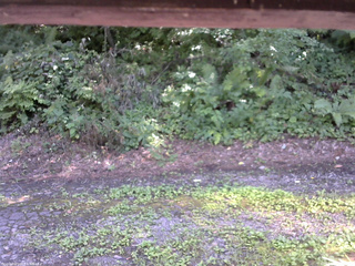 長野県菅平高原 ゆたか山荘 南側 2025/08/02 14:00