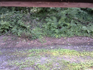 長野県菅平高原 ゆたか山荘 南側 2025/08/02 14:15