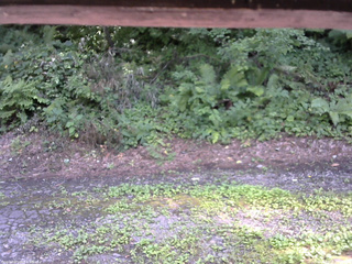 長野県菅平高原 ゆたか山荘 南側 2025/08/02 14:30