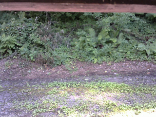 長野県菅平高原 ゆたか山荘 南側 2025/08/02 14:45