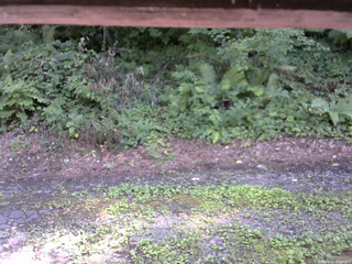 長野県菅平高原 ゆたか山荘 南側 2025/08/02 15:00