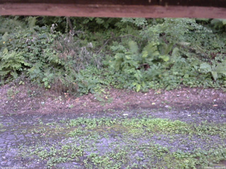 長野県菅平高原 ゆたか山荘 南側 2025/08/02 15:15