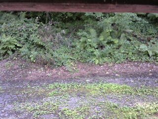 長野県菅平高原 ゆたか山荘 南側 2025/08/02 15:30