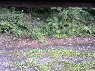 長野県菅平高原 ゆたか山荘 南側 2025/08/02 15:45