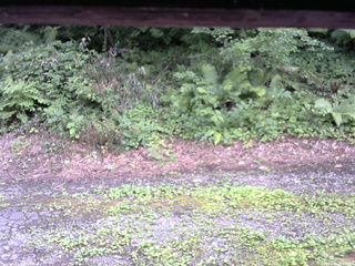 長野県菅平高原 ゆたか山荘 南側 2025/08/02 16:00