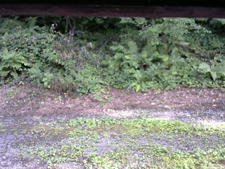 長野県菅平高原 ゆたか山荘 南側 2025/08/02 16:15