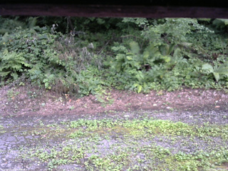 長野県菅平高原 ゆたか山荘 南側 2025/08/02 16:30