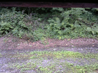 長野県菅平高原 ゆたか山荘 南側 2025/08/02 16:45