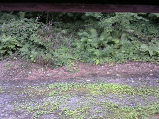 長野県菅平高原 ゆたか山荘 南側 2025/08/02 17:00