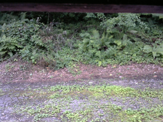 長野県菅平高原 ゆたか山荘 南側 2025/08/02 17:15