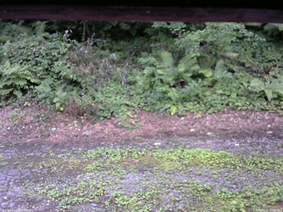 長野県菅平高原 ゆたか山荘 南側 2025/08/02 17:30