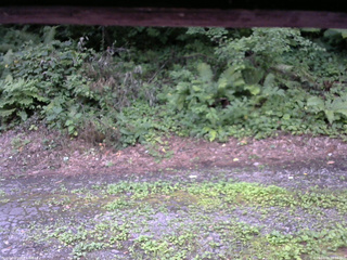 長野県菅平高原 ゆたか山荘 南側 2025/08/02 18:00