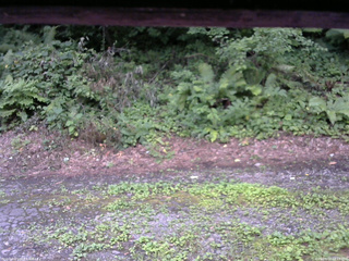 長野県菅平高原 ゆたか山荘 南側 2025/08/02 18:15