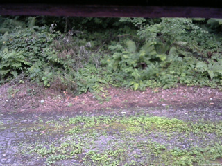 長野県菅平高原 ゆたか山荘 南側 2025/08/02 18:30