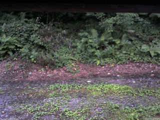 長野県菅平高原 ゆたか山荘 南側 2025/08/02 18:45