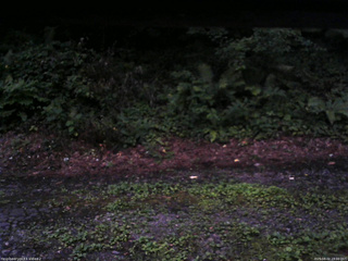 長野県菅平高原 ゆたか山荘 南側 2025/08/02 19:00