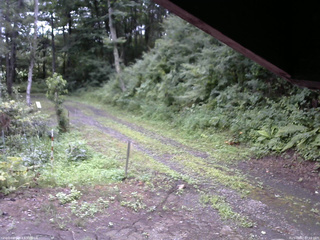 長野県菅平高原 ゆたか山荘 東側(坂下) 2025/08/02 07:15