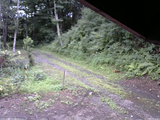 長野県菅平高原 ゆたか山荘 東側(坂下) 2025/08/02 07:30