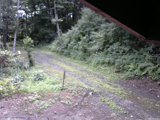 長野県菅平高原 ゆたか山荘 東側(坂下) 2025/08/02 07:45