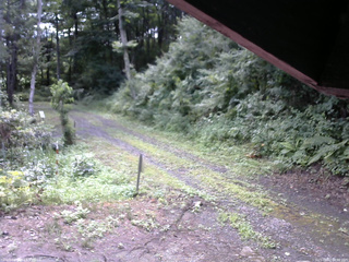 長野県菅平高原 ゆたか山荘 東側(坂下) 2025/08/02 08:00